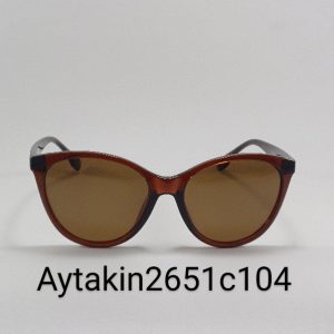 عینک آفتابی آی تکین 
2651c104